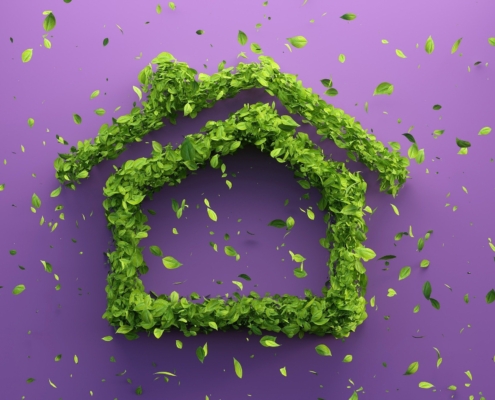 Convertir tu casa en sostenible - Casita verde