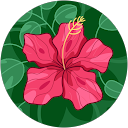 Elisabet Mayora-Morgan Elisabet Mayora-Morgan