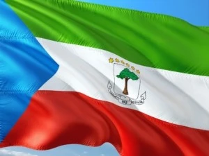 Moving to Equatorial Guinea - Flag