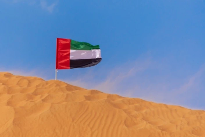 Mudarse a Emiratos Árebes Unidos - Bandera de EAU