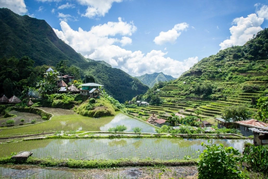 Moving to the Philippines-Batad-Rice terraces