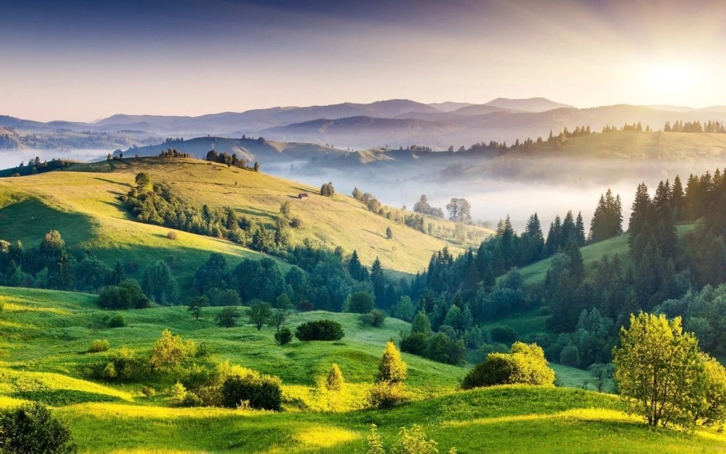 Moving to India - Green Hills