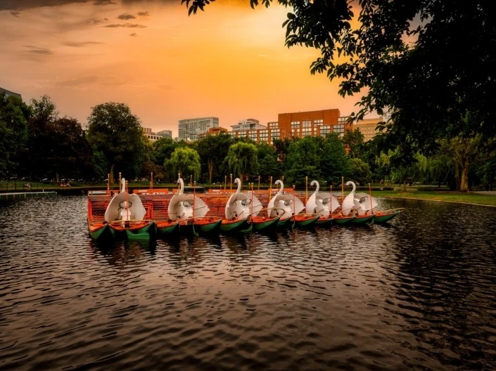 Moving to Boston - Boston Common Park